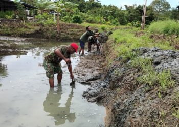 BANTU EKONOMI MASYARAKAT, KORAMIL AMBAN SULAP LAHAN KOSONG JADI KOLAM IKAN TAWAR