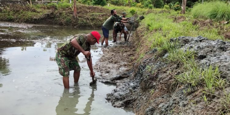 BANTU EKONOMI MASYARAKAT, KORAMIL AMBAN SULAP LAHAN KOSONG JADI KOLAM IKAN TAWAR