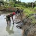BANTU EKONOMI MASYARAKAT, KORAMIL AMBAN SULAP LAHAN KOSONG JADI KOLAM IKAN TAWAR