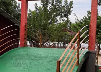 54 Pohon Sakura di Pulau Seribu Jadi Saksi Pencanangan HUT DKI ke 494