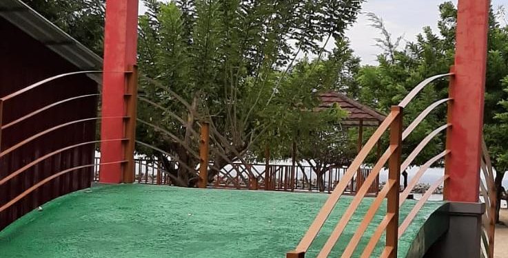 54 Pohon Sakura di Pulau Seribu Jadi Saksi Pencanangan HUT DKI ke 494