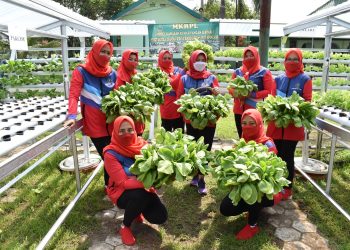 Persit KCK Koorcab Rem 071 Panen Sayur Hidroponik Dukung Ketahanan Pangan di Masa Pandemi