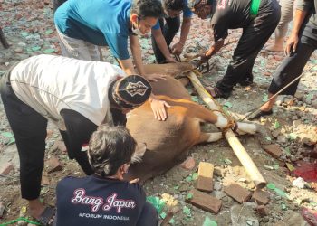 Bang Japar Jakarta Utara Dengan Berqurban, Mari Kita Tingkatkan Kepedulian untuk Berbagi