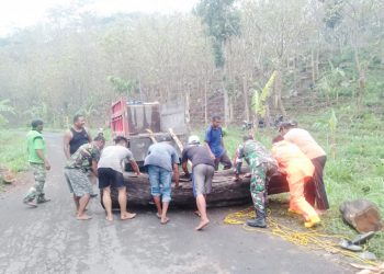 Lancarkan Arus Lalu Lintas, Babinsa Posramil Sekar Bojonegoro Bantu Singkirkan Pohon Tumbang