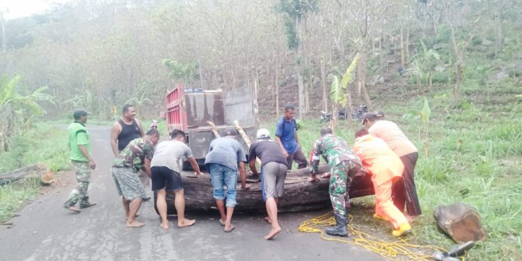 Lancarkan Arus Lalu Lintas, Babinsa Posramil Sekar Bojonegoro Bantu Singkirkan Pohon Tumbang