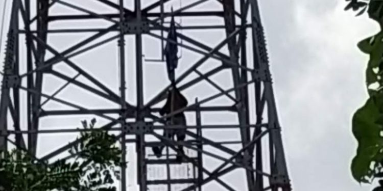 Dandim1801/Manokwari, Kolonel Airlangga : Respon Warga melaporkan adanya Bendera Bintang Kejora diatas tower BTS Telkomsel, tunjukan  Ketidak Respekannya  pada Bendera Bintang Kejora