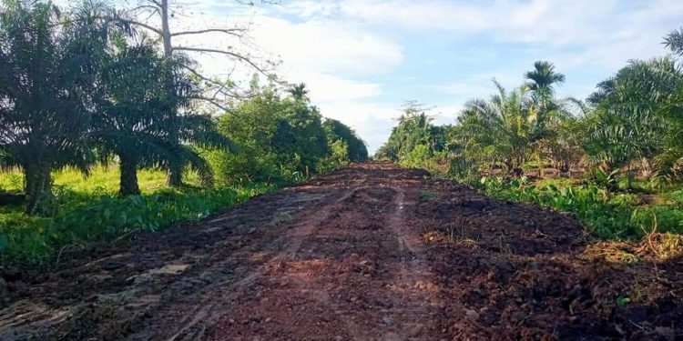 Jenuh Menanti Janji, Petani Lae Langge : Tanpa Mereka Kami Juga Bisa!