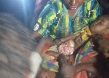 LBH Papua Desak PMII Dan Pemerintah Lindungi Warga Papua Di Pengungsian