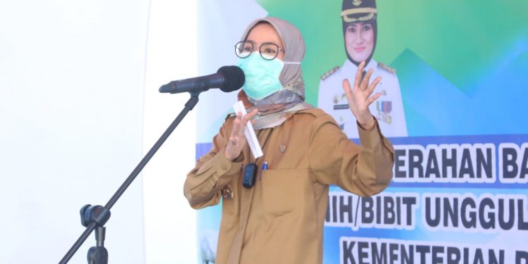 Kelompok Tani & Ternak di Lebak Banten Terima Bantuan Hewan Ternak serta Bibit Unggul dari BPTP dan DPR RI