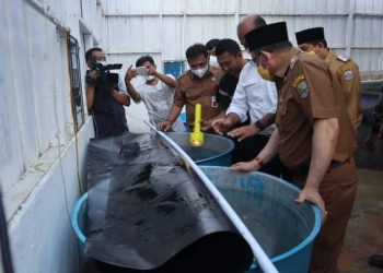 Direktur Jenderal Perikanan Budidaya (PB) Kementerian Kelautan dan Perikanan (KKP) , Haeru Rahayu serta rombongan Kunjungi Kab. Kotabaru