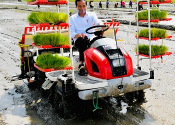 Petani Trenggalek Nantikan Kiprah Generasi Milenial