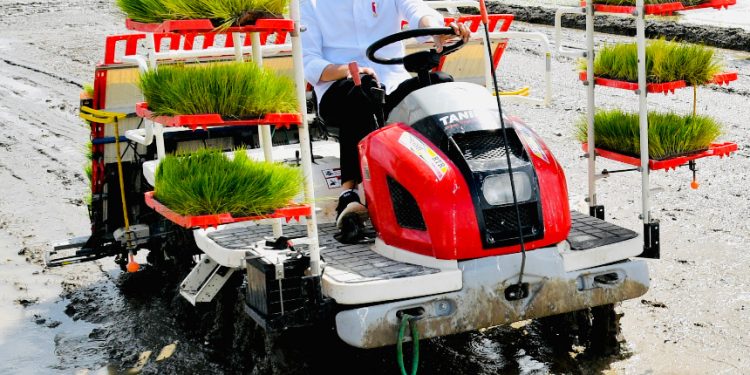 Petani Trenggalek Nantikan Kiprah Generasi Milenial