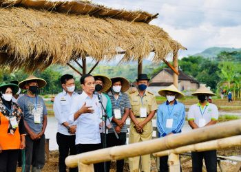 Produktivitas Petani Naik, Presiden: Tahun 2021 Kita Belum Impor Beras