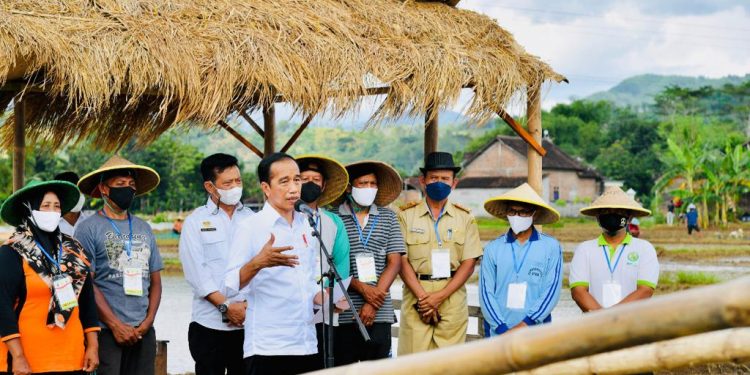 Produktivitas Petani Naik, Presiden: Tahun 2021 Kita Belum Impor Beras