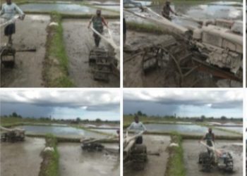 Tingkatkan Swasembada Pangan, Babinsa Warmare Membantu para Petani Bajak Sawah