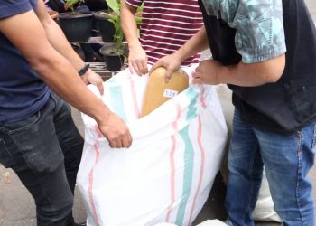 Satres Narkoba Polres Metro Jakarta Barat  berhasil ungkap Ratusan Kilogram Narkoba jenis ganja jaringan lintas Sumatera