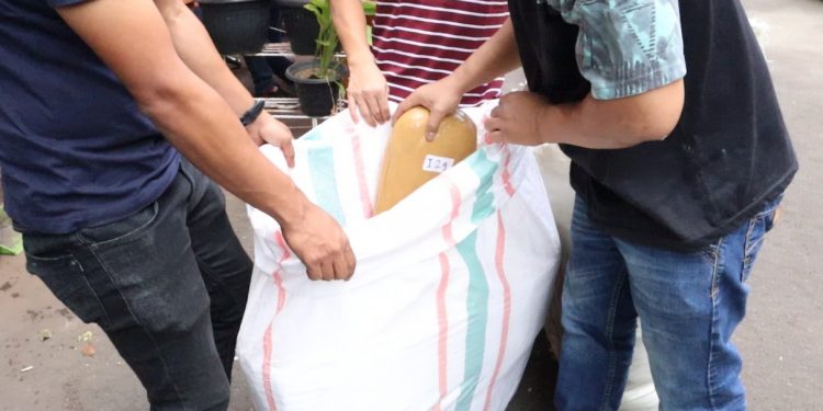 Satres Narkoba Polres Metro Jakarta Barat  berhasil ungkap Ratusan Kilogram Narkoba jenis ganja jaringan lintas Sumatera