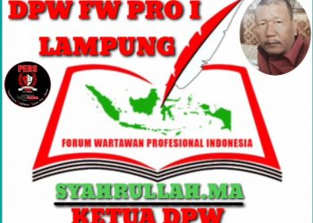 Banyak Awak Media Belum Terima dengan Forum APDESI Mesuji Minta Maaf hanya dengan Kata-kata