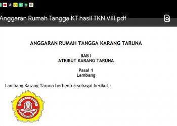 MENSOS Harus Atensi Kasus Karang Taruna Di Daerah..‼️