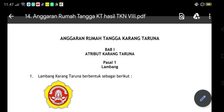 MENSOS Harus Atensi Kasus Karang Taruna Di Daerah..‼️