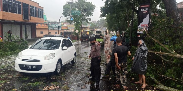 Pohon Tumbang Akibatkan Arus Lalin Jalan Raya Ciawi – Malangbong Sempat Tersendat