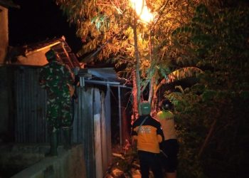 Wujudkan rasa aman Babinsa Saradan Koramil 02 / Karangmalang Bantu Evakuasi Sarang Tawon Vespa