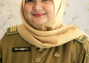 Dapodik, Sistem Pendataan dan Permasalahannya