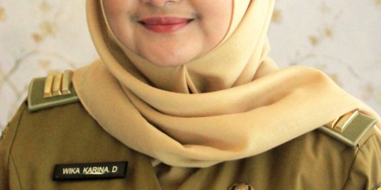 Dapodik, Sistem Pendataan dan Permasalahannya