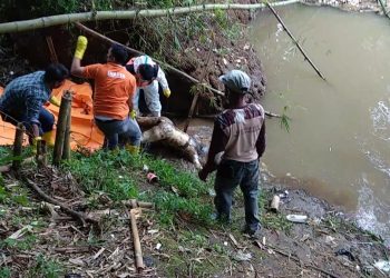 Tim Inafis dan Piket Polres Tasikmalaya Kota, Evakuasi Mayat Perempuan di Sungai Citanduy