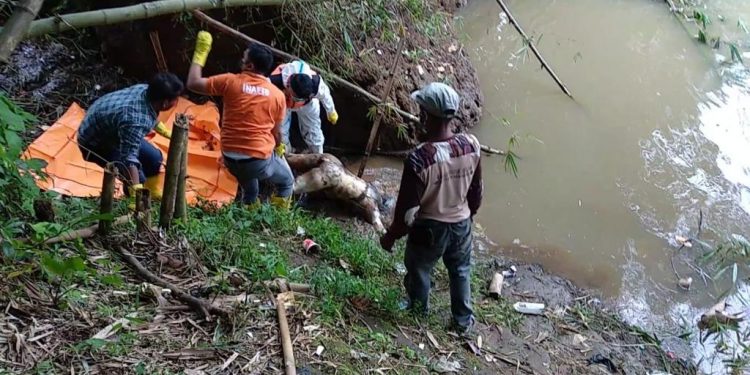 Tim Inafis dan Piket Polres Tasikmalaya Kota, Evakuasi Mayat Perempuan di Sungai Citanduy
