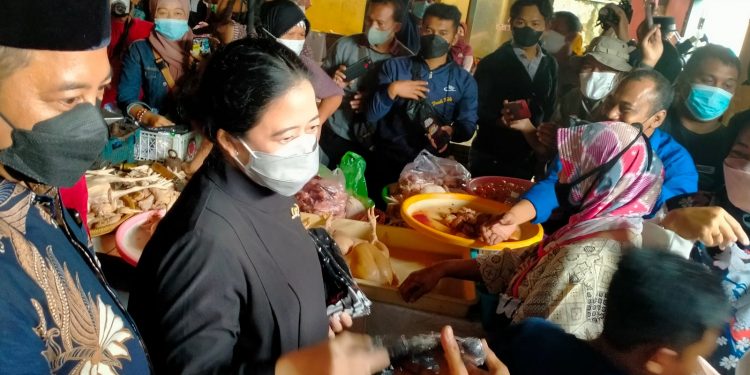 Puan : Perlu Perkuat Digitalisasi diberbagai Sektor Ekonomi