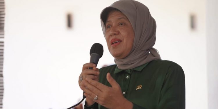 Sosialisasi KIE Program Penurunan Stunting Kerjasama Anggota DPR-RI Hasnah Syam dengan Mitra BKKBN di Desa Cilellang