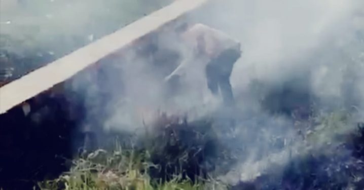 Kapolsek Telukjambe Timur Respon Cepat Laporan Kebakaran Lahan di Pinggir Tol KM 49 Jakarta Cikampek