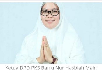 DPD Partai Keadilan Sejahtera (PKS) Kab. Barru Dinyatakan Memenuhi Syarat Parpol untuk Melaju di Pemilu 2024