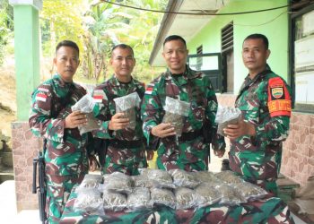 Satgas Pamtas Yonif 132/BS Berhasil Menggagalkan Penyelundupan Ganja Seberat 3250 gram