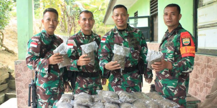 Satgas Pamtas Yonif 132/BS Berhasil Menggagalkan Penyelundupan Ganja Seberat 3250 gram