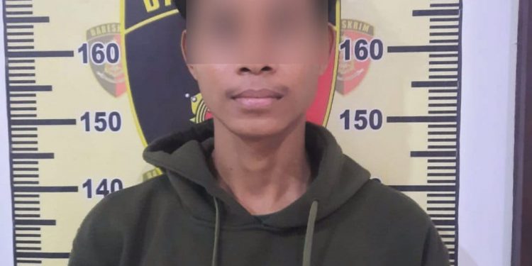 Satreskrim Polres Pasangkayu Tangkap Terlapor Pencurian Buah Sawit