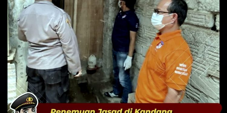 Penemuan Jasad di Kandang Ayam, Pihak Kepolisian Lakukan Olah TKP