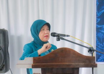 Ketua TP.PKK Kab.Barru Hj.Hasnah Syam Melantik Ketua TP.PKK Desa Tanete Riaja dan Tanete Rilau