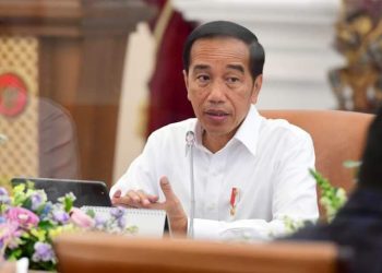Pemerintah Dukung Pembentukan Induk Perusahaan dan Transisi Energi di PLN.