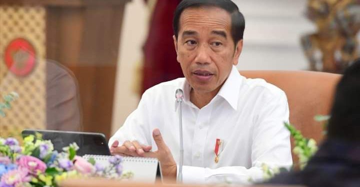 Pemerintah Dukung Pembentukan Induk Perusahaan dan Transisi Energi di PLN.