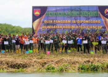 Tanam 10.000 Mangrove, Ini Kata Pangdam Diponegoro