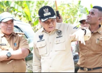 Monitoring Keluhan Warga via Grup WA ,Bupati Barru Respon Cepat Instruksikan Jajarannya Evakuasi Pohon Tumbang di Jalan Raya
