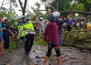 Personel Sat Lantas Polres Cianjur Sigap Evakuasi Pohon Tumbang