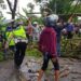 Personel Sat Lantas Polres Cianjur Sigap Evakuasi Pohon Tumbang