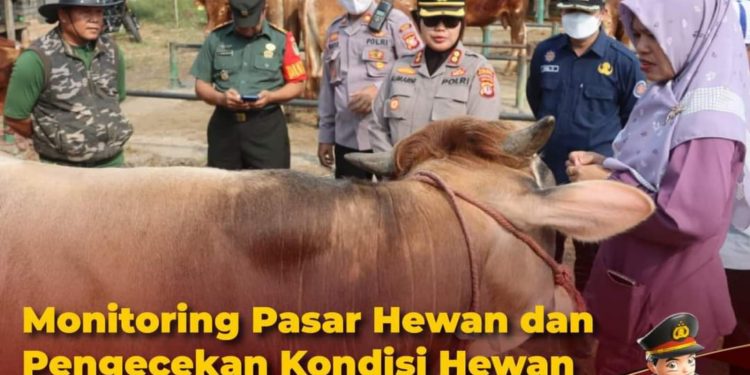 Monitoring Pasar Hewan Dan Pengecekan Kondisi Ternak Dilakukan Polres Subang Menjelang Hari Raya Idul Adha 1444 H Tahun 2023