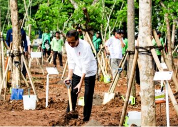 Presiden Joko Widodo Melakukan Penanaman Pohon bersama Masyarakat di Hutan Kota Kawasan Industri Pulogadung,
