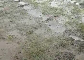 Kepala Desa Diduga Tersangkut Pasal 372 Objek Tanah Persawahan, “Masih Bebas Berkeliaran Di Wilayah Hukum Polres Karawang “