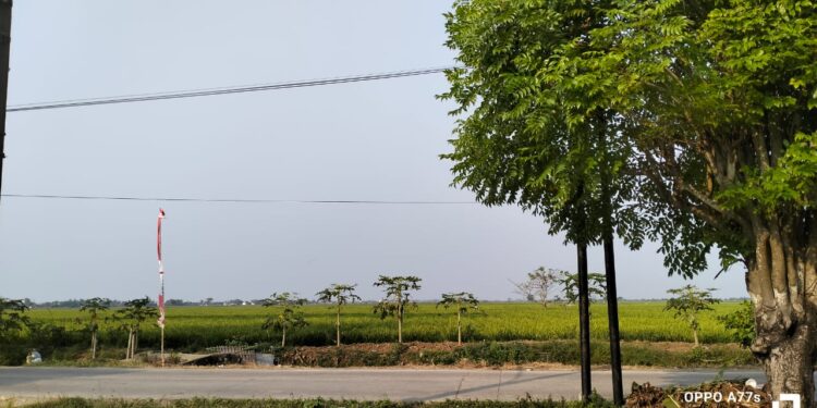 Oknum Kades Tanjungbungin” Kebal Hukum” Dilaporkan Kepihak Polres Karawang Dugaan KUHP 372 , Masih Berkeliaran