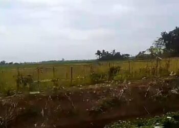 Oknum Kades Tanjungbungin” Kebal Hukum” Dilaporkan Kepihak Polres Karawang Dugaan KUHP 372 , Masih Berkeliaran